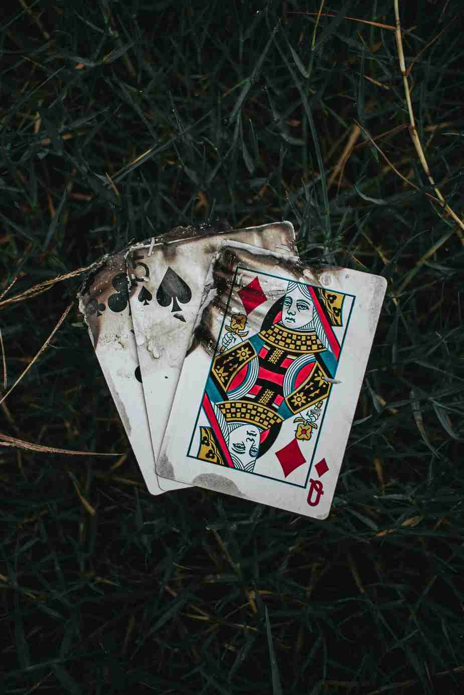 Megawin Casino : Le Guide Ultime des Casinos en Italie