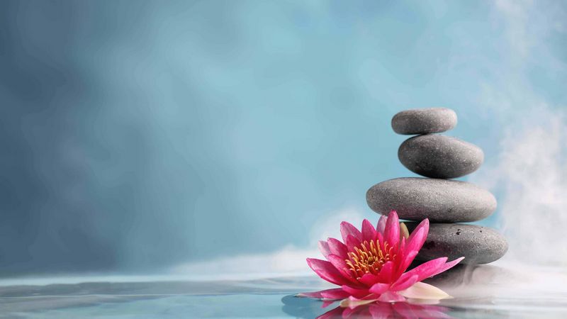 Is a Medspa the Like a Massage therapy? Right here's the Full Explanation