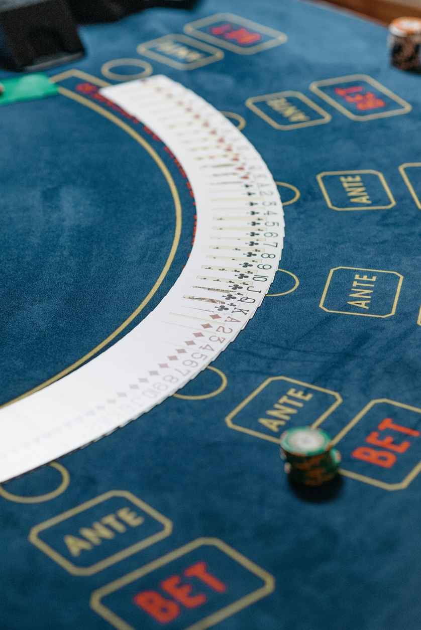 Robocat Casino: Análisis Detallado de sus Bonos y Promociones en 2024